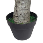 75cm Artificial Dracaena Plant Wide Trunk Triple Branch Large