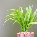 Artificial 35cm Grass Plant Contemporary Ceramic Planter Metal Stand