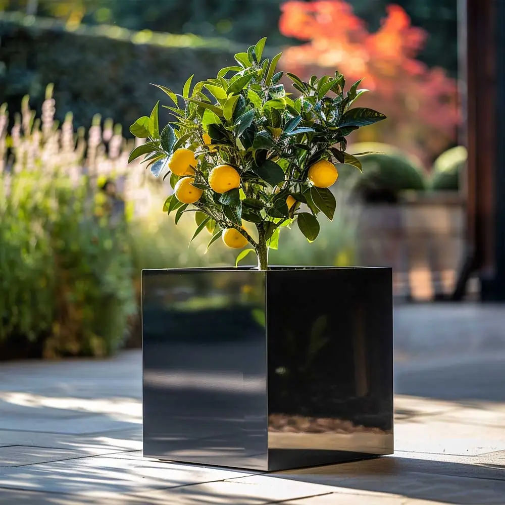 Zinc Galvanised Square Planter | 40cm x 40cm x 40cm | Black Gloss