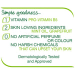 Kind To Skin Gentle Care Hand Wash With Mint Oil 250ml, 6 Pack | Set of 6 | White