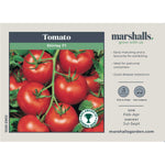 Cordon Tomato Shirley F1 Seeds | 20 Seeds