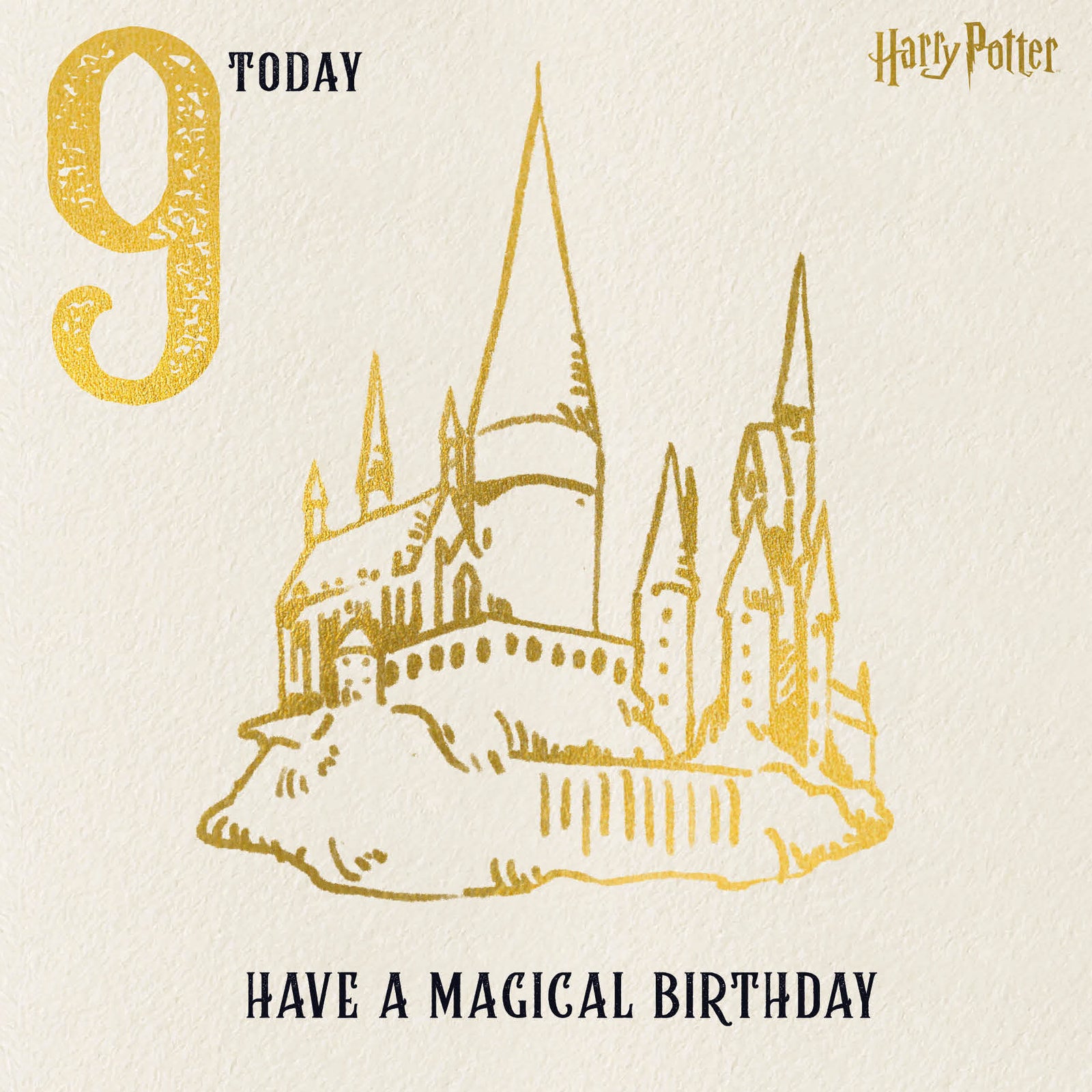 Age 9 Birthday Card Official Product
