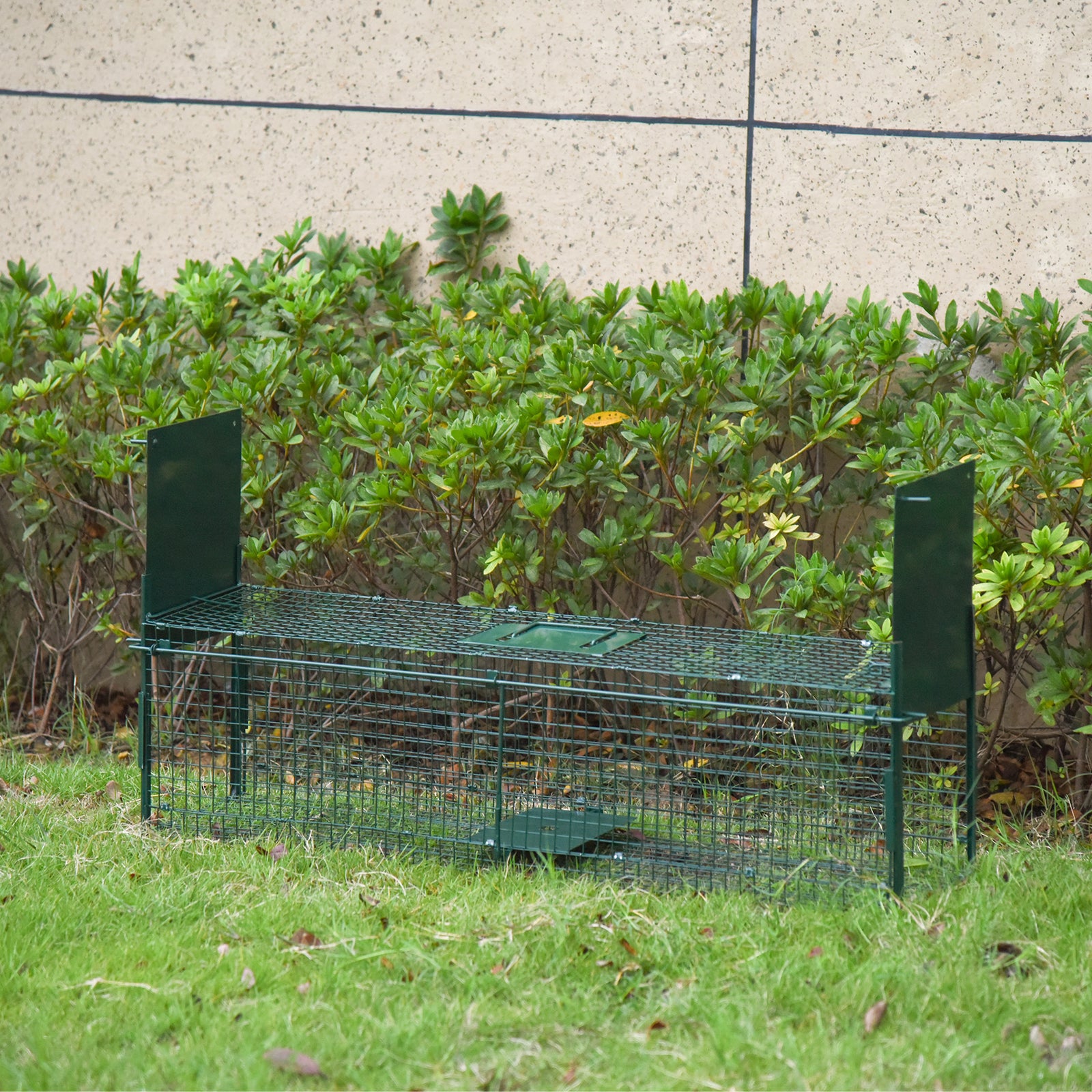Two-door Animal Trap Cage For Small Animals, Dark Green