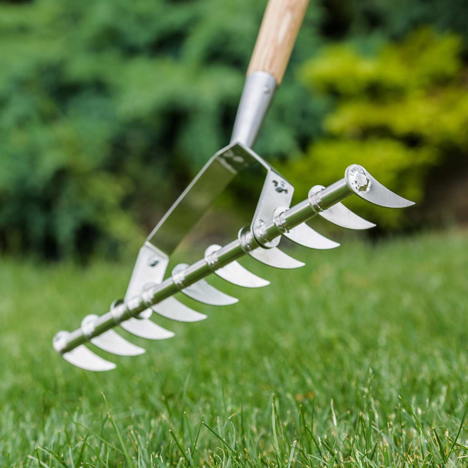 Stainless Steel Scarifying Rake Ash Handle 10 Tines 15-year Guarantee