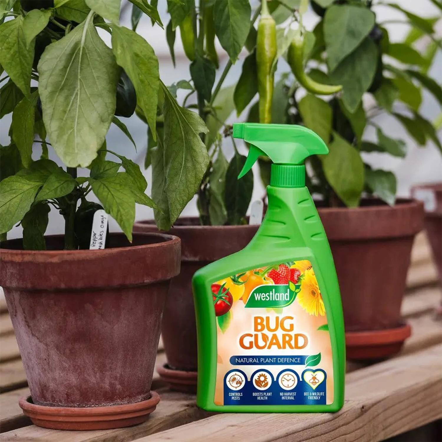 Bug Guard Rtu Improves Plant's Natural Defences, 800ml