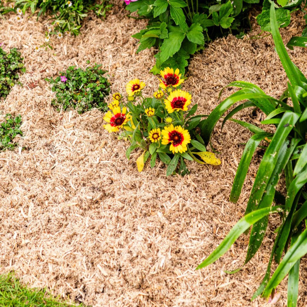 Incredimulch Plus 10 Litre Bag | Set-of-1