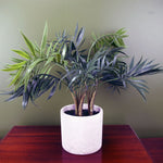 Artificial Tree Plant Palm In Decorative Planter Botanik