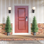 Set Of 2 Artificial Cypress Trees With Pe Leaves For Indoor Outdoor