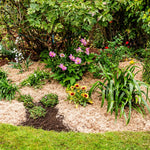 Incredimulch Plus 10 Litre Bag | Set-of-2
