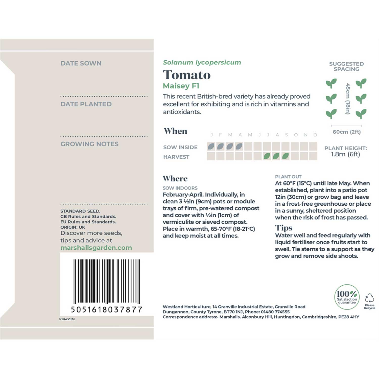 Tomato Seeds Cordon 'maisey' F1 | 8 Seeds