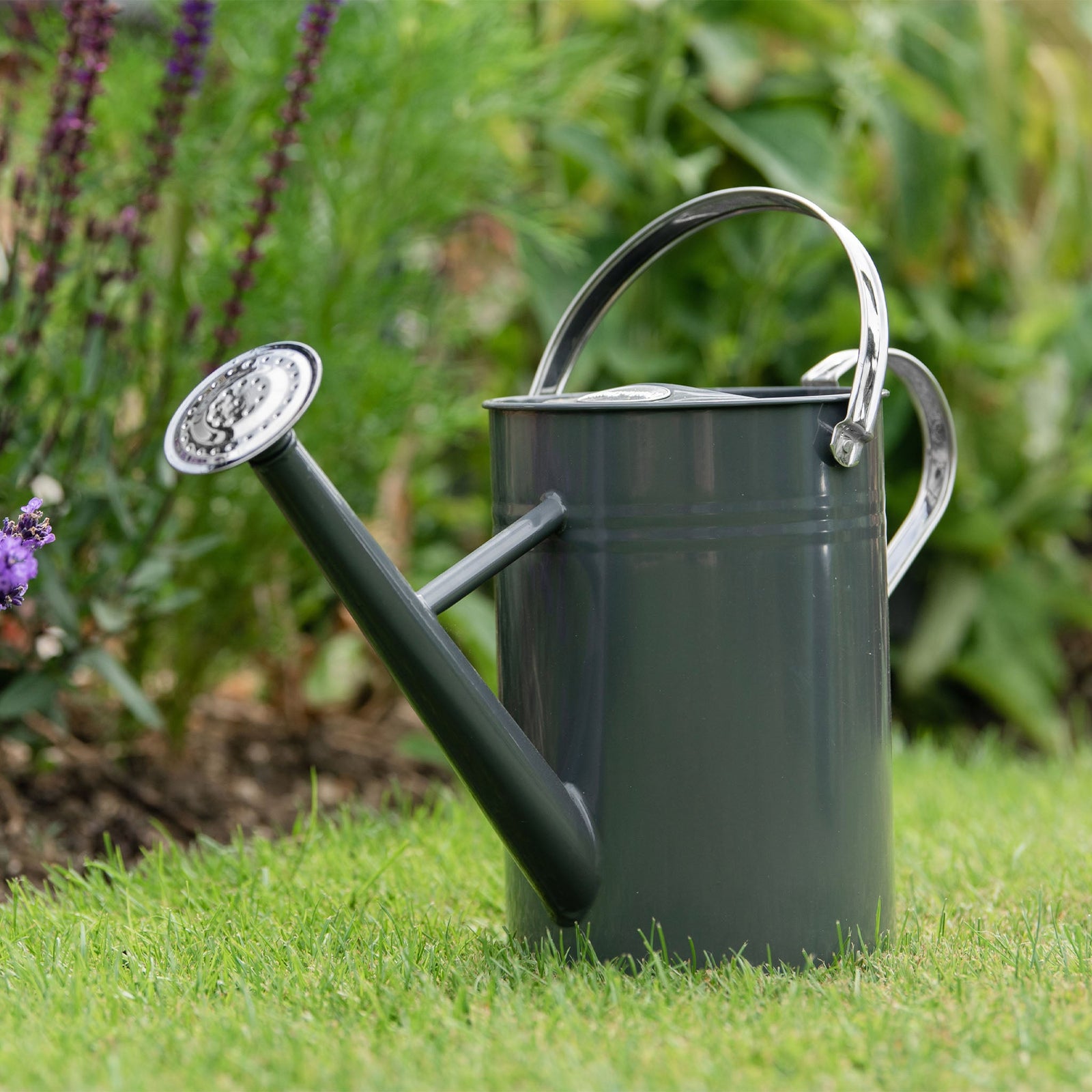 Galvanised Steel Watering Can | Deep Purple
