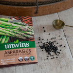Asparagus 'connover's Colossal' Seeds | 120 Seeds | Purple & Green