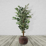 27cm X 36cm Aztec Diamond Large Planter