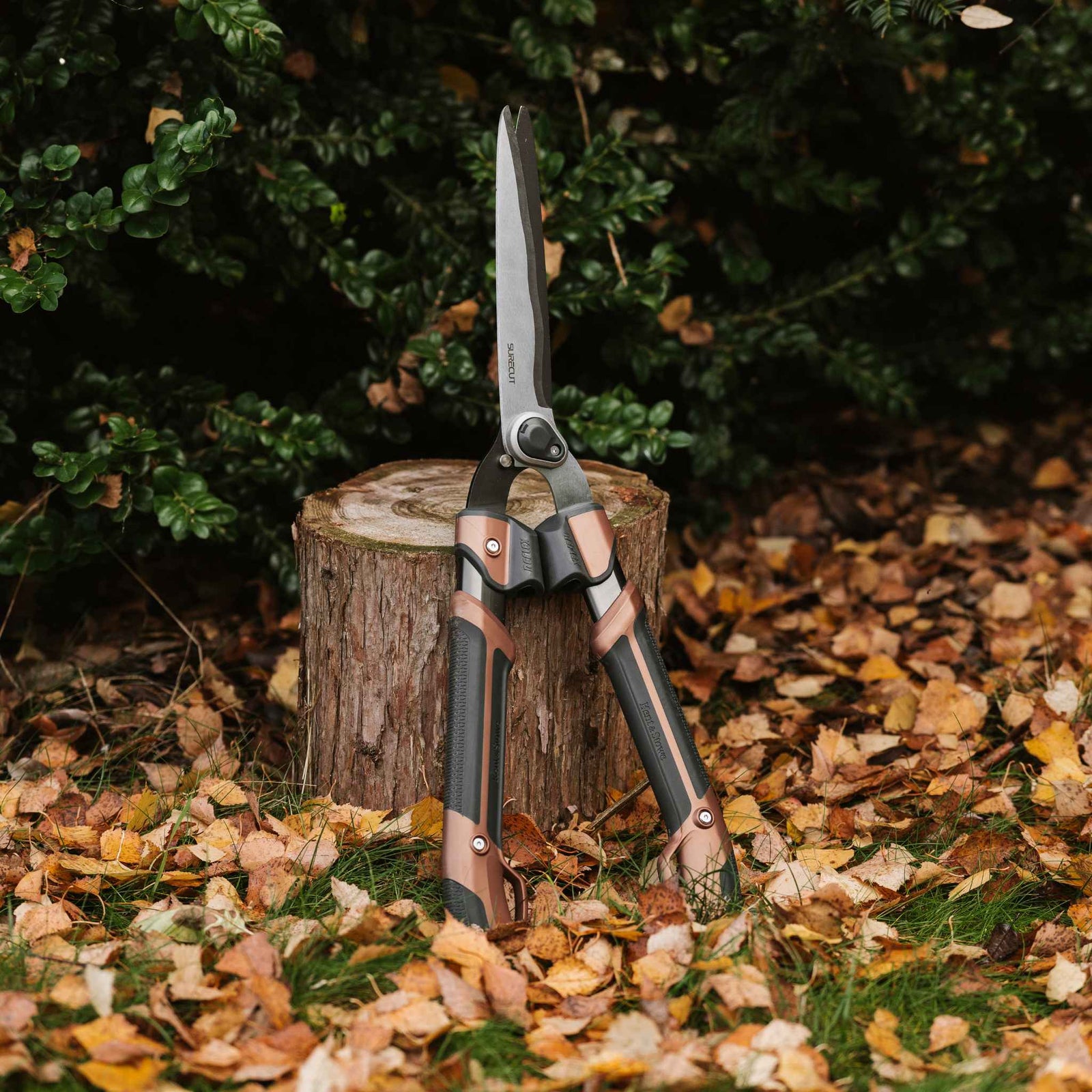 Garden Life Box Shears 10mm Chrome-coated Sk5 Blade