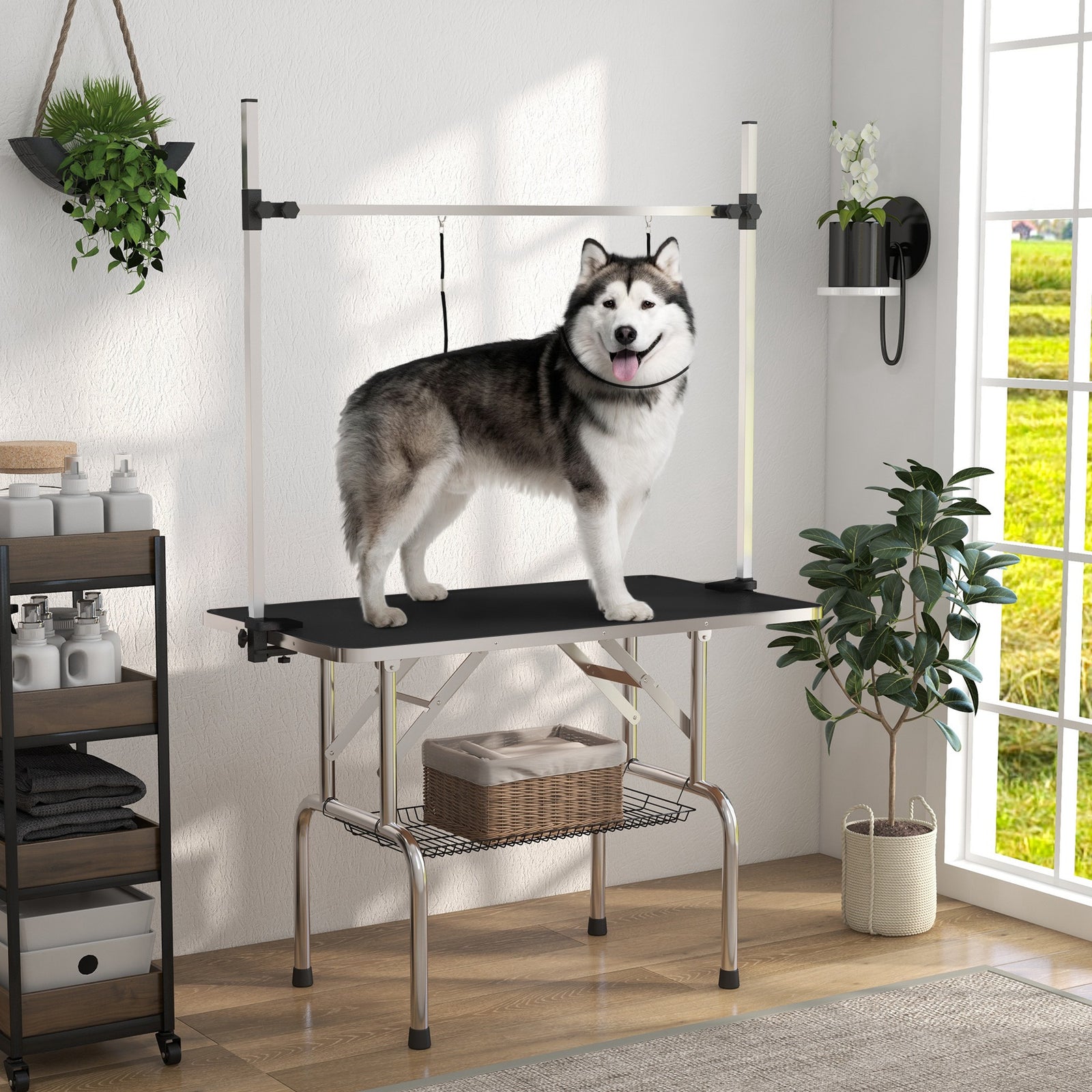 Metal Adjustable Dog Grooming Table Rubber Top 2 Safety Slings Mesh | Black