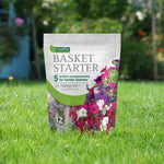 Empathy Hanging Basket Starter 190g | Set of 1 | Multi Colour