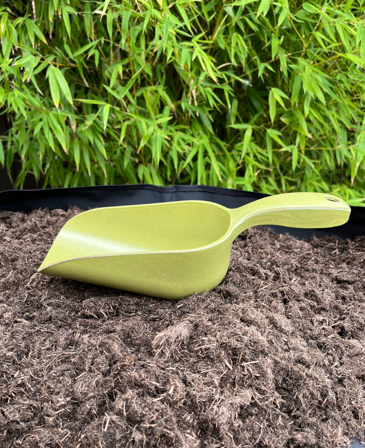 Bamboo Compost Scoop | Set-of-1 | Green