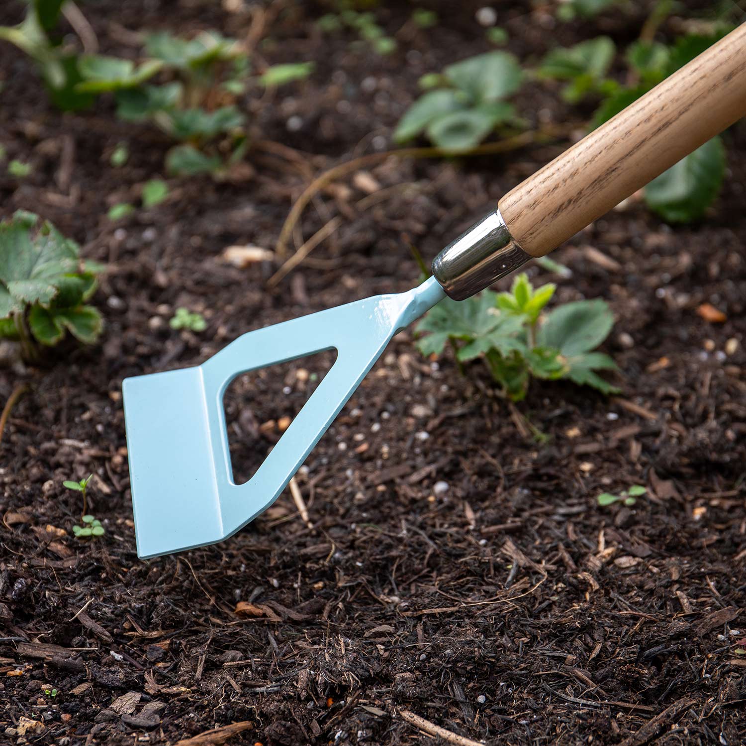 Kids Dutch Hoe With Fsc Ash Handle