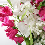 Pack Of 6 X 100cm Artificial Phalaenopsis Orchid White Stem
