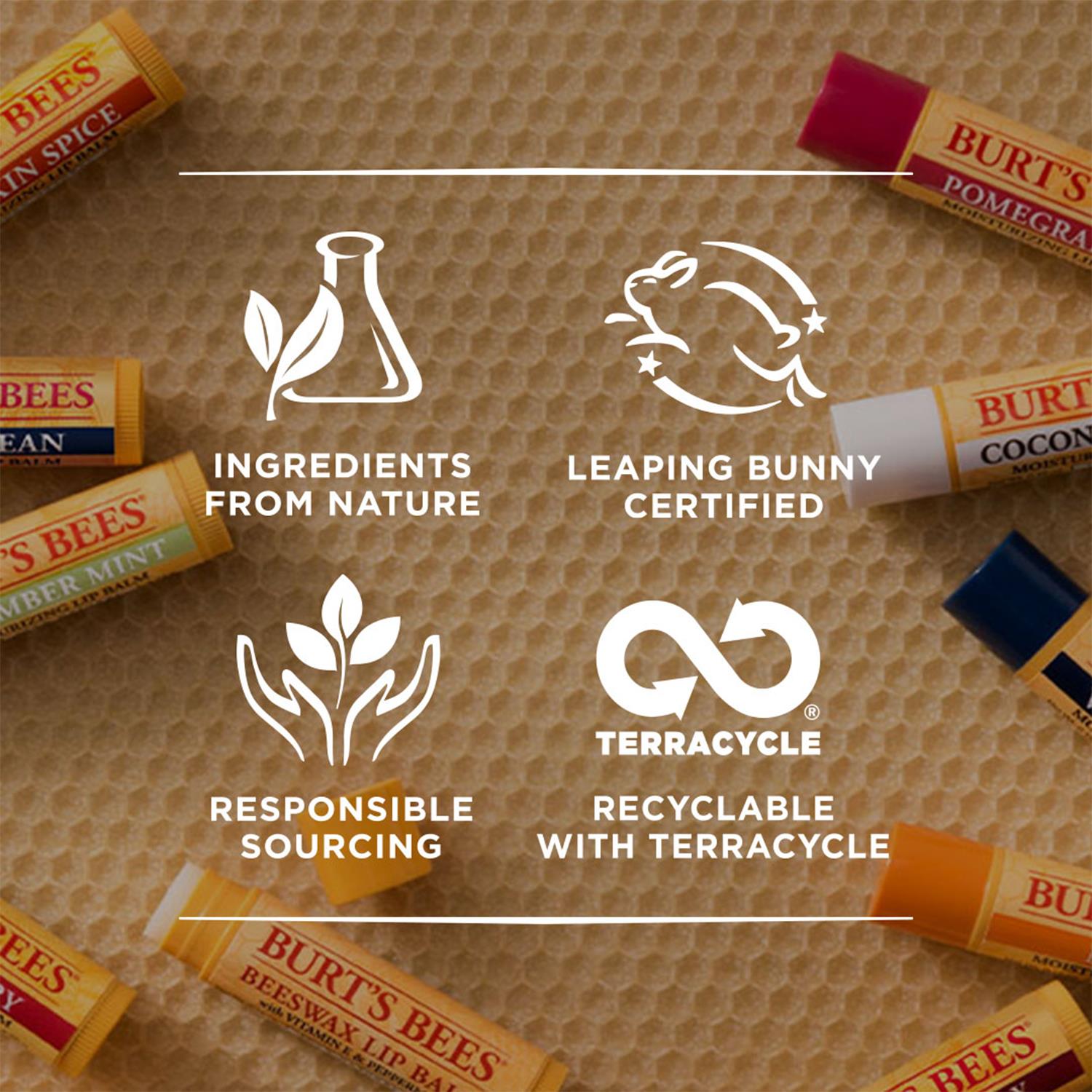 Lip Balm Pomegranate 0.15oz