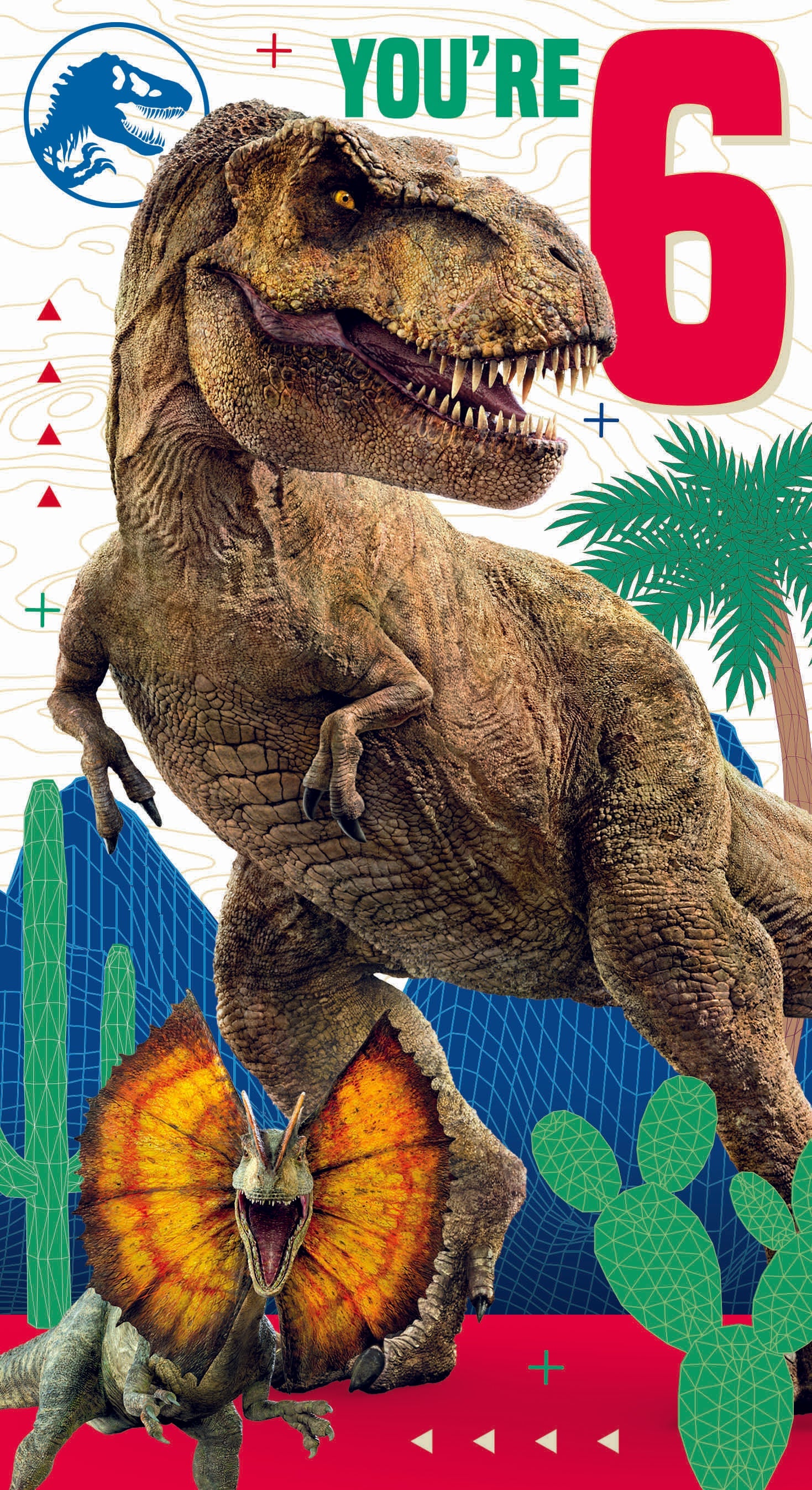 Age 6 Sticker Birthday Card Official Product