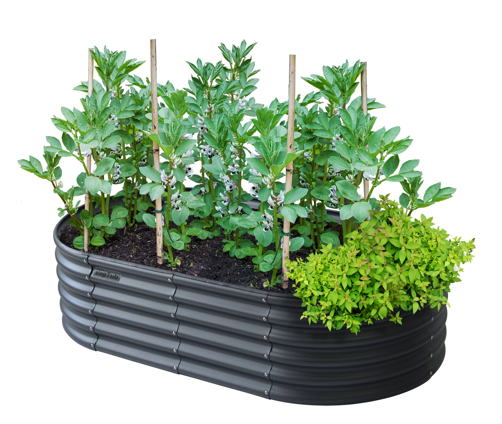 Modular Metal Raised Bed Kit | Charcoal