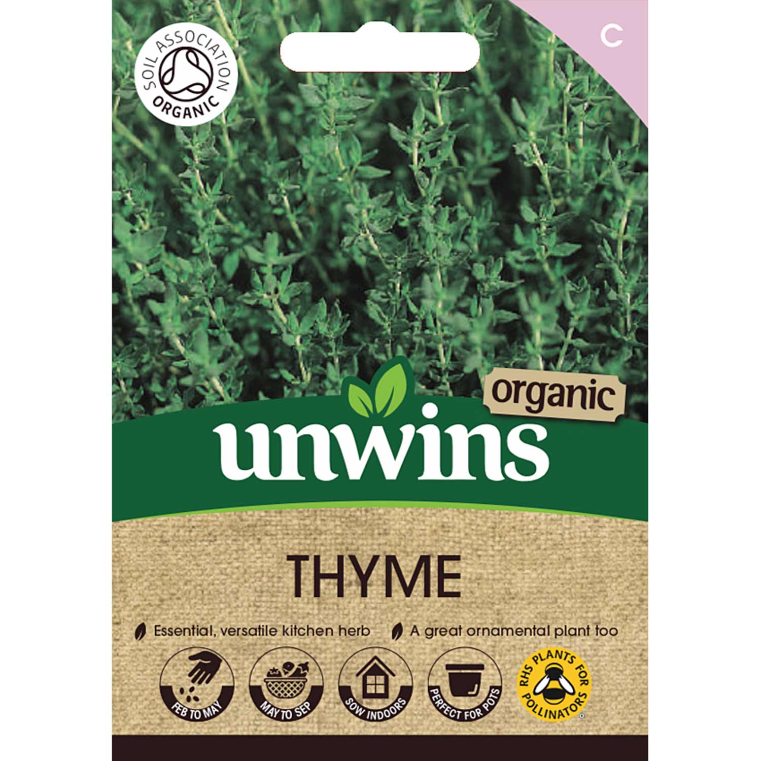 Organic Thyme | 500 Seeds | Green
