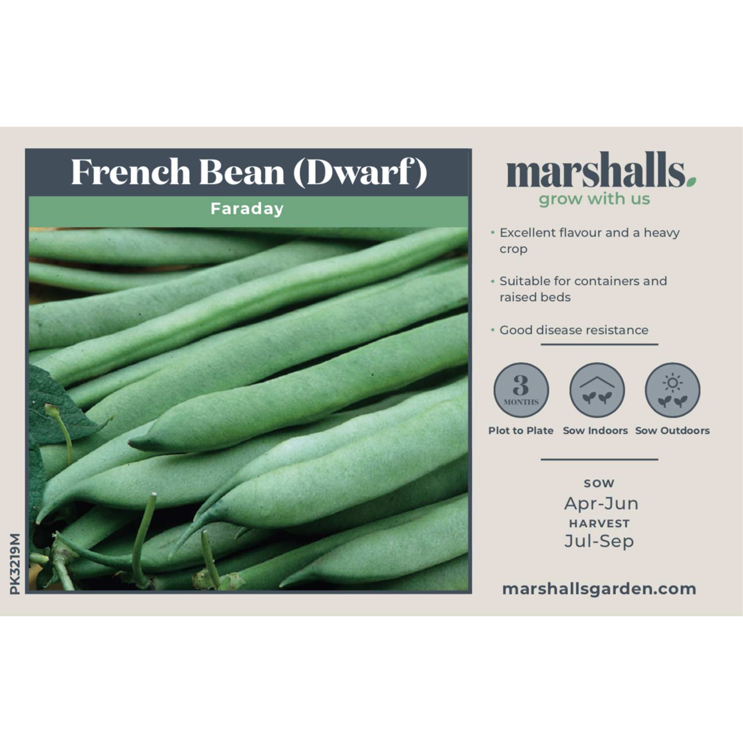 Dwarf French Bean 'faraday' Seeds | 50 Seeds