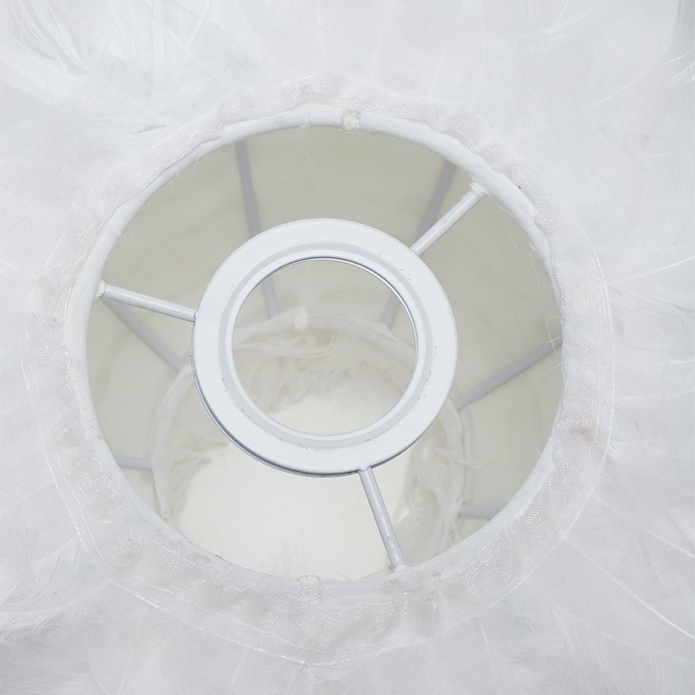 Accent Feather Table Lamp With Led Light
