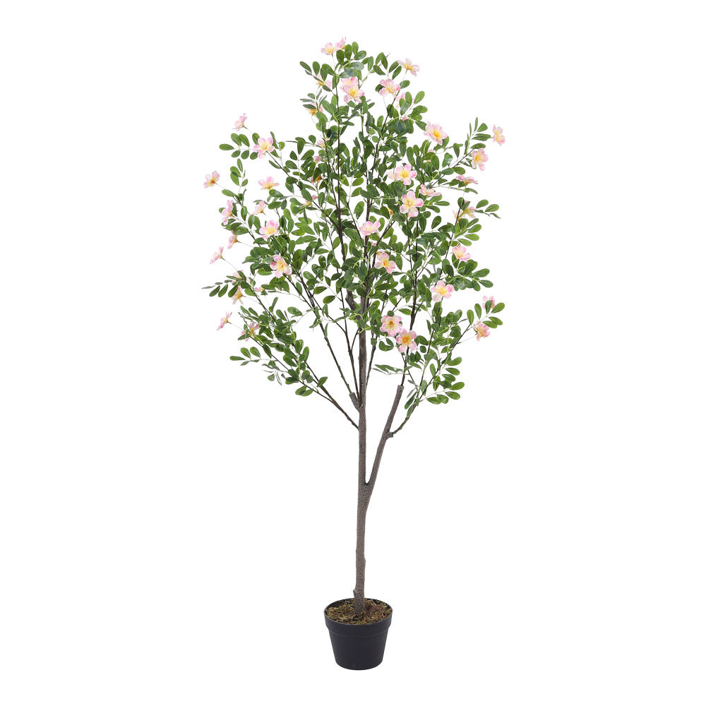 160cm Tall Artificial Frangipani Blossom Tree In Pot For Decoration