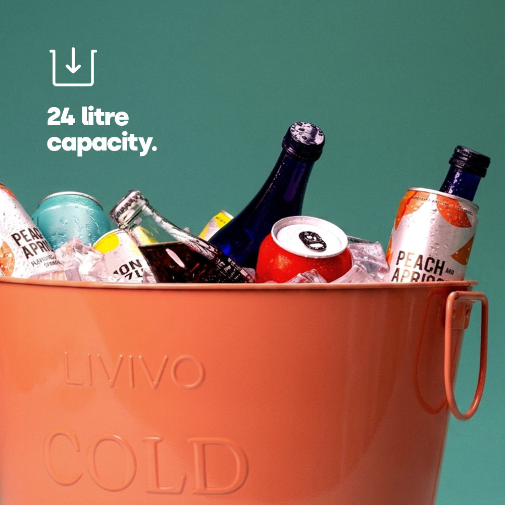 Galvanised Steel Drinks Bucket | Coral