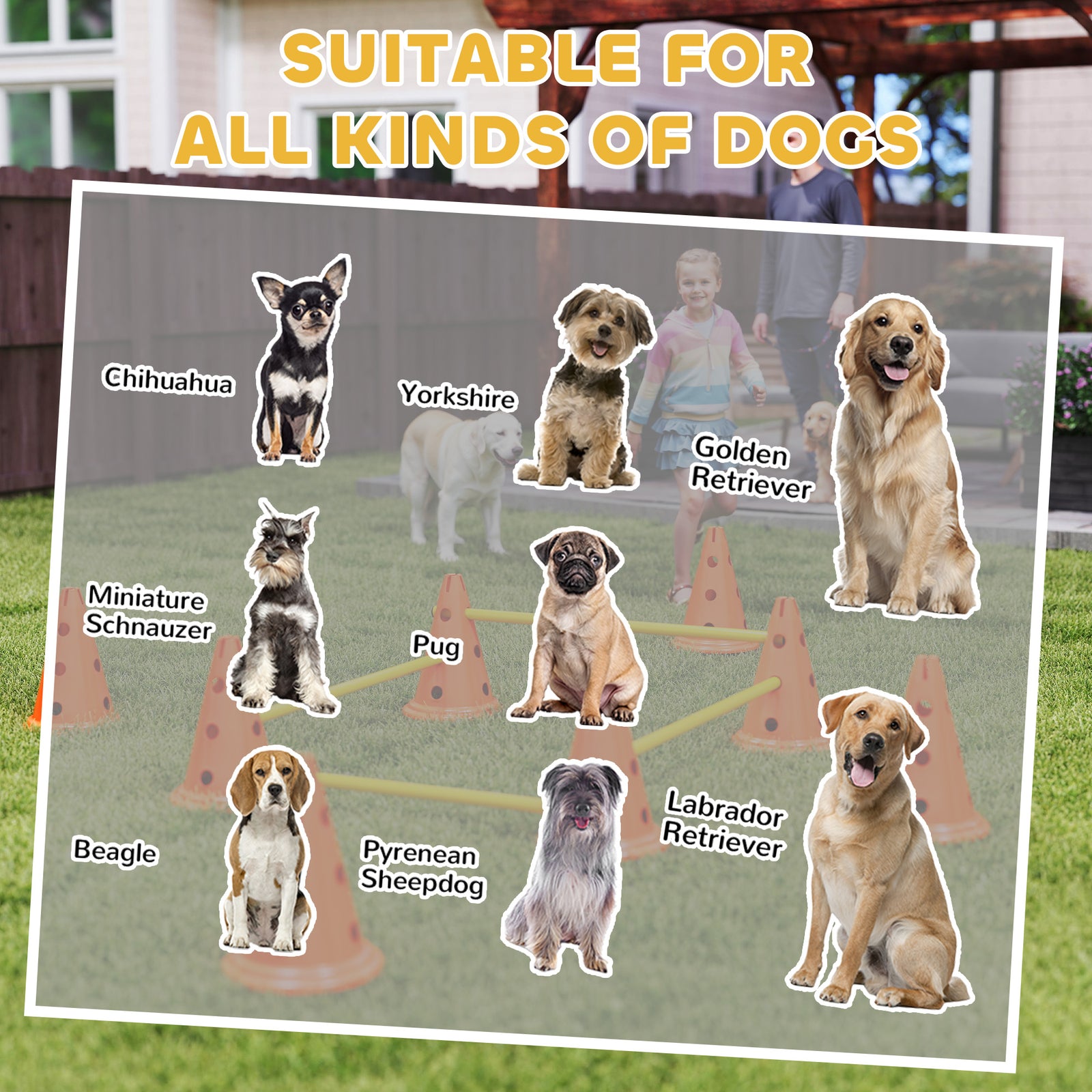 Dog Agility Equipment Set, Four-piece Adjustable Height Jumping | Medium | Orange