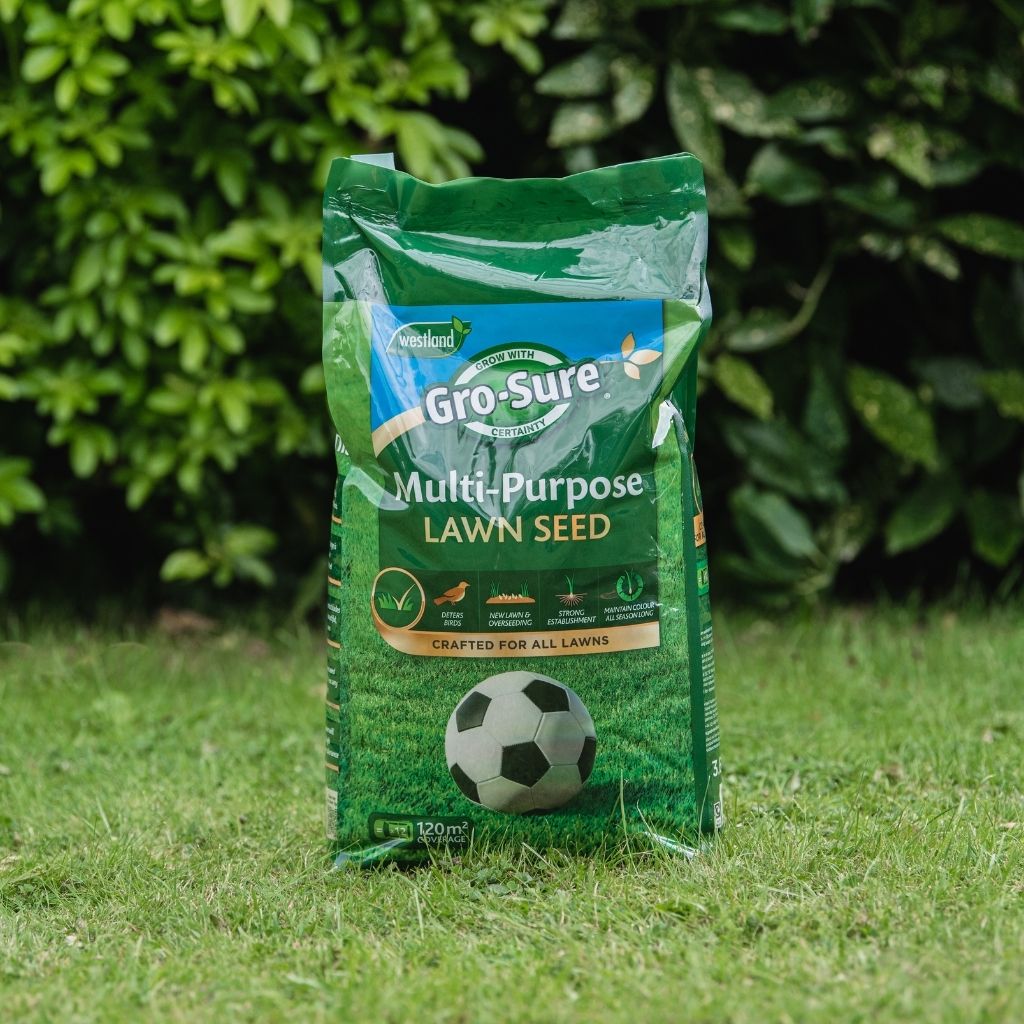 Multi-purpose Lawn Seed 50m2 Box