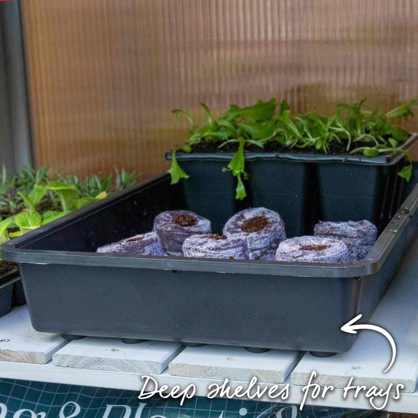 Wooden Growhouse Dove Grey With Uv Polycarbonate Glazing And Adjustable Shelves | Dove Grey