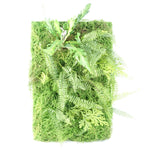 60cm Artificial Look Greenwall Ferns