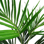 Kentia Palm Artificial Tree 130cm  - Realistic Plant By Botanik