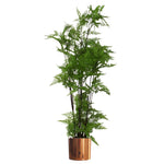 18cm Leaf Modern Planter Copper