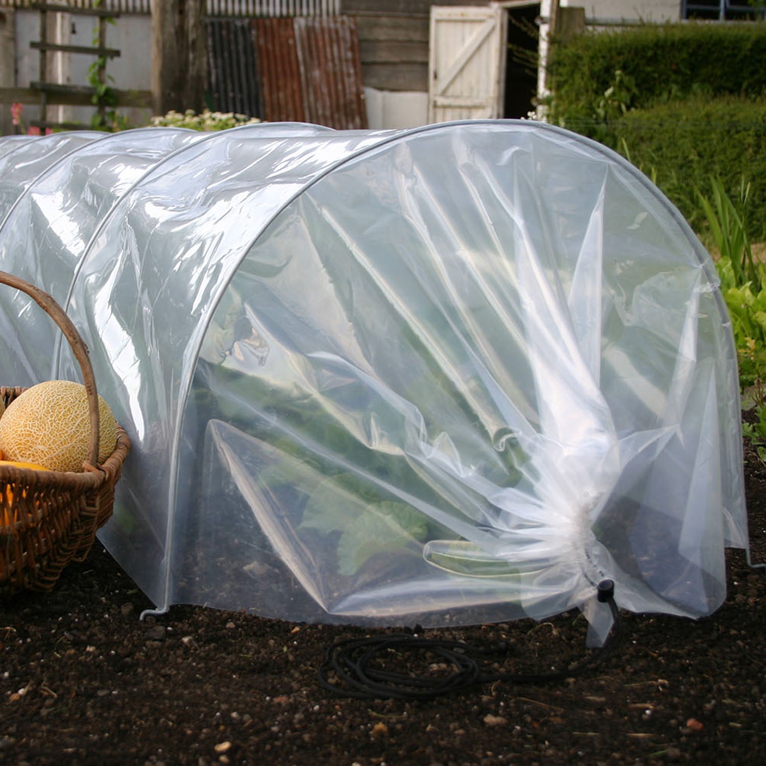 Giant Easy Poly Tunnel 3m 150-micron Heavy-duty Mini Greenhouse | Clear