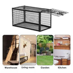 2 Pack Metal Humane Mouse Trap Cage Rat Catcher
