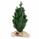 Santaco Christmas Tree 63cm Xmas Spruce 75 Pvc Tip Indoor Cement Base Green