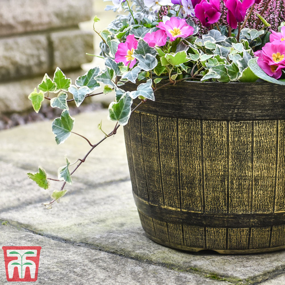 Whisky Barrel Planter Patio Pot | Set-of-1