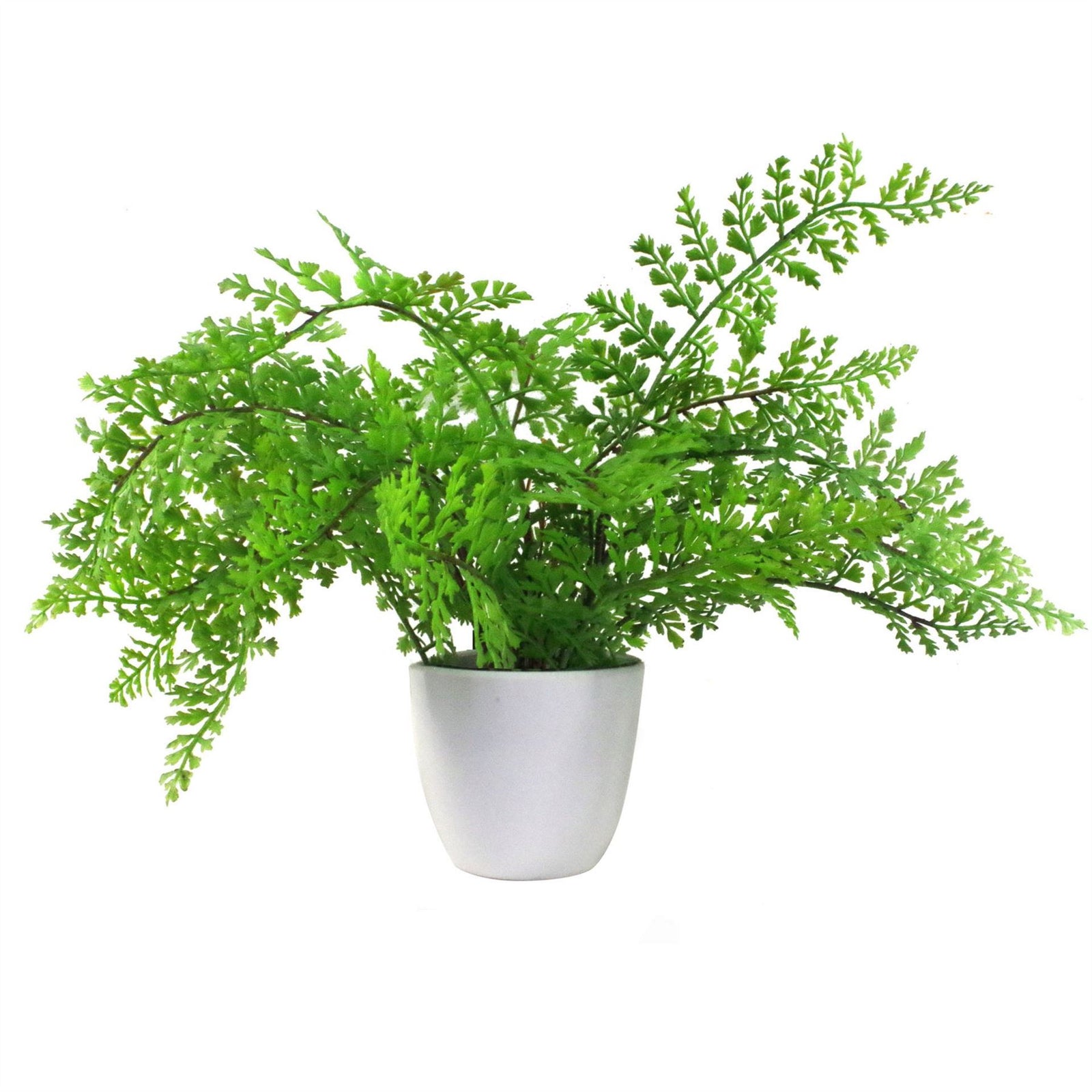 Artificial Ferns Plants Pack Of 3 X 30cm Botanical Fern 30cm Potted Display Botanik