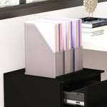 Steel File Cabinet With Lock Hanging Bar For A4 Size | One Size | Black