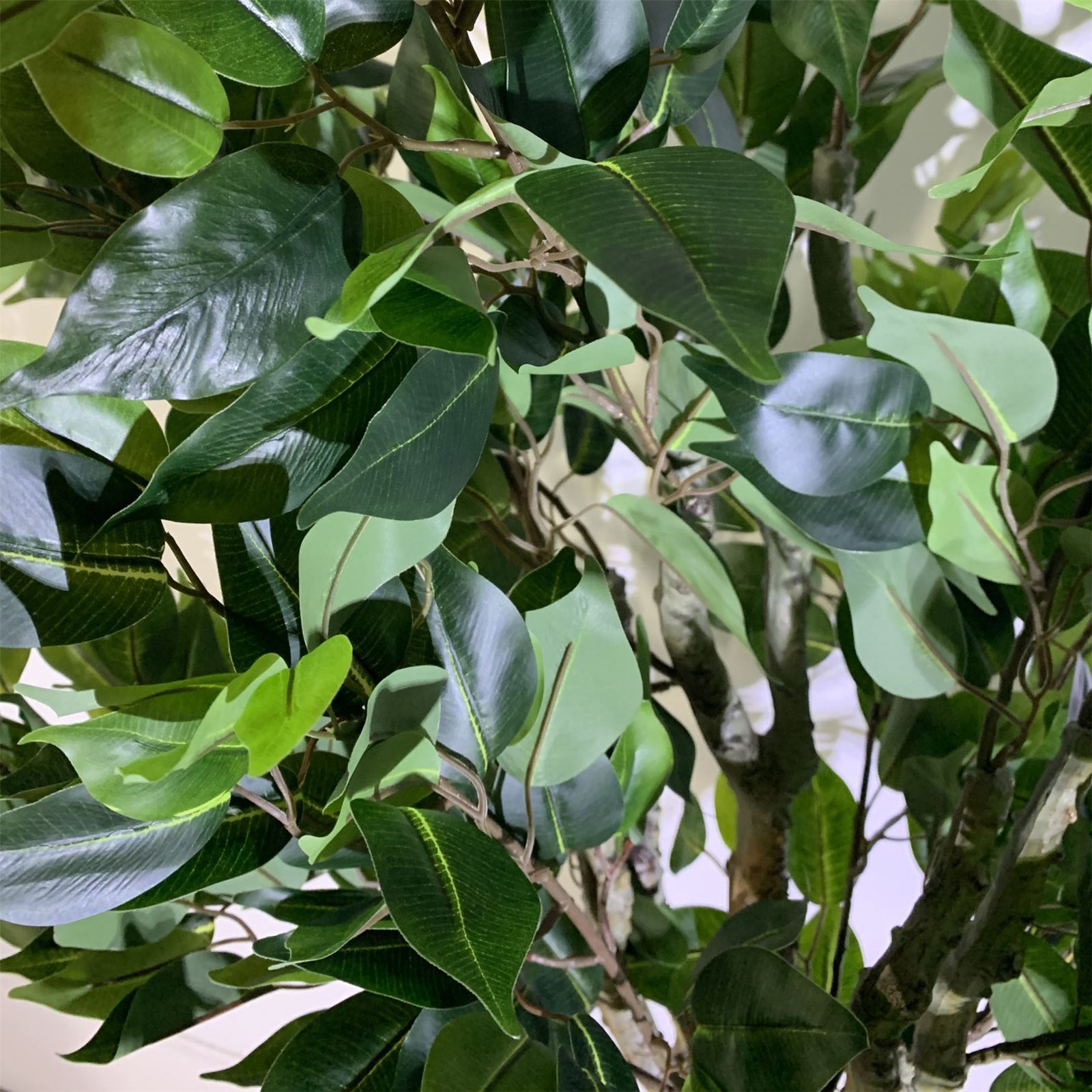 100cm  Realistic Artificial Ficus Tree / Plant Bush Ficus Copper Curve Planter