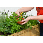 Raised Wooden Planter Herb Garden | Natural