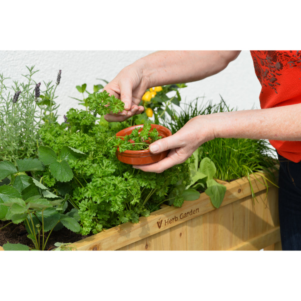 Raised Wooden Planter Herb Garden | Natural