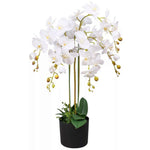 85cm  Design Uk Realistic Artificial Orchid Flower Display In Pot