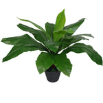 50cm Bushy Artificial Bird's Nest Fern Plant