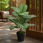 60cm Artificial Green Stripe Leaf Plant