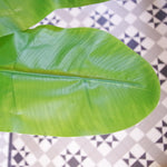 Artificial Banana Tree Tropical Plant Huge 6ft